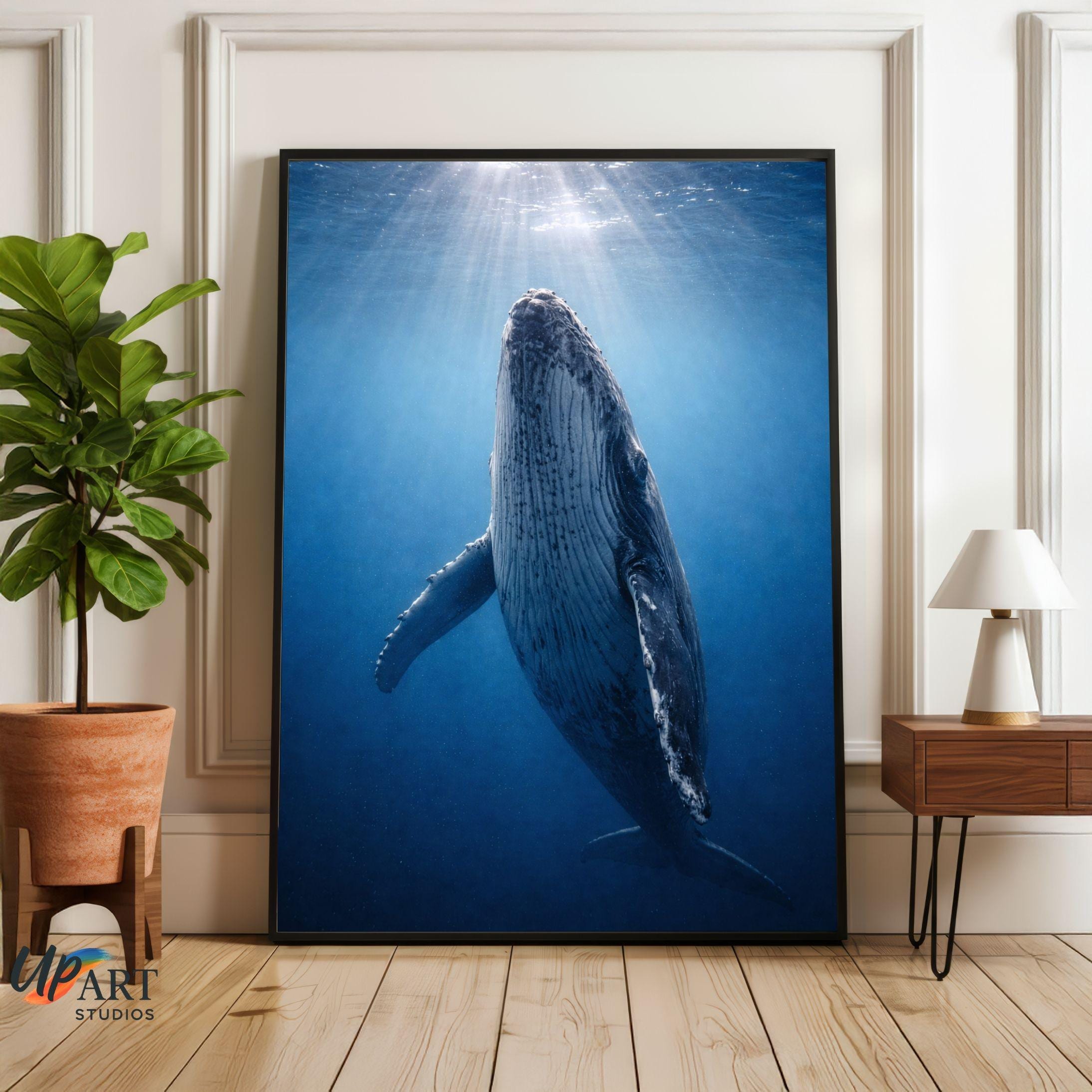Whale Wall Art Poster – Underwater Humpback Whale Photography Print - Etsy