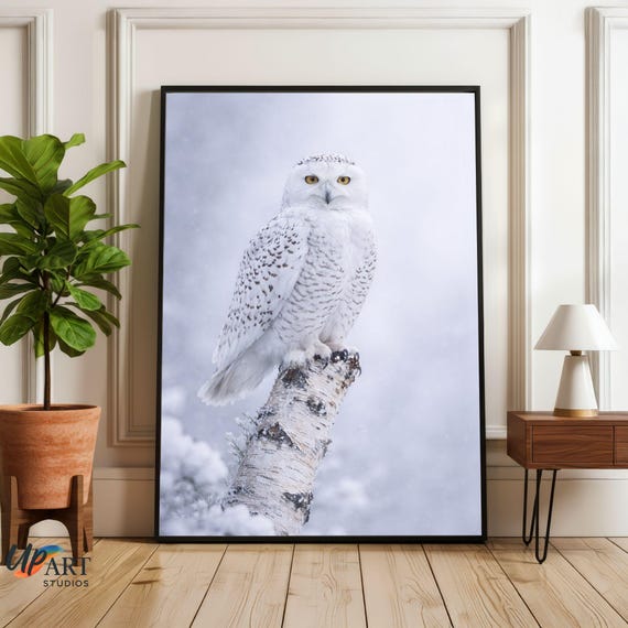 Snowy Owl Wall Art Poster – White Owl Wildlife Photography – Winter Nature Print