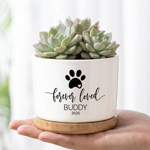 May include: A white ceramic cylindrical planter with a bamboo saucer base, containing a green succulent. The front features a black graphic of a paw print with a small heart, followed by the text "forever loved", "BUDDY", and "2026".