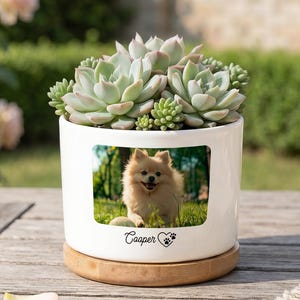 May include: A white ceramic cylindrical planter with a bamboo base, containing a cluster of green succulents. The front features a rectangular photo of a fluffy tan dog, with the name Cooper and a small paw print icon printed below.