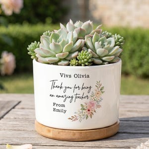 May include: A white ceramic planter with a bamboo base containing a green succulent plant. The planter features the text Vivs Olivia, Thank you for being an amazing teacher, From Emily, and a floral illustration in pink, green, and brown tones.