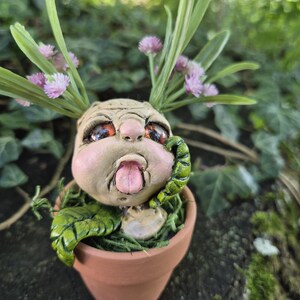 May include: A sculpted creature with a pale, wrinkled face, large dark eyes, and a protruding tongue, nestled in a small terracotta pot. The figure features green leaf-like appendages, a small green caterpillar, and sprigs of light purple flowers.