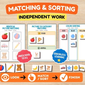 Matching & Sorting Task Box Activities | Independent Work