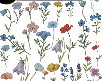 Paquete de diseños de bordado de flores silvestres: más de 20 patrones florales de flores silvestres: archivos de bordado a máquina botánico.