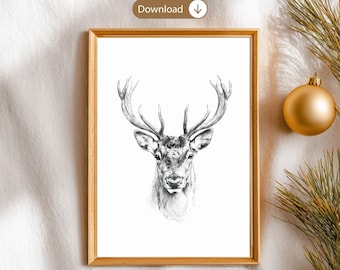 オリジナルのトナカイの鉛筆画：鹿のスケッチアート、8.5x11インチ