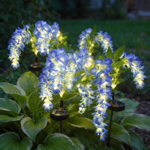 Peut inclure: Lampes de jardin à énergie solaire avec des fleurs de glycine bleues et des reflets blancs. Les fleurs en cascade sont éclairées par de petites lumières LED blanches chaudes. L'ensemble crée un éclairage extérieur décoratif.