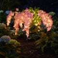 Solar Wisteria Flower Light, Pink Outdoor Garden Stake Light, Waterproof Solar Path Decor