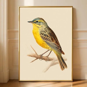 Póster de lavandera amarilla occidental, lámina decorativa vintage para pared.