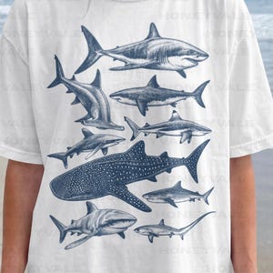 Puede incluir: Una camiseta blanca de manga corta con un gran estampado gráfico de varias especies de tiburones en tonos azules. El diseño incluye un tiburón ballena prominente rodeado de varias otras ilustraciones de tiburones en una composición vertical.