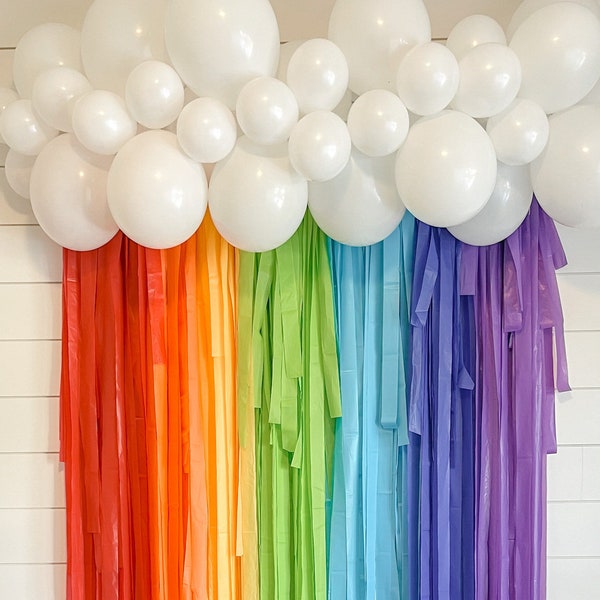 Classic Rainbow Fringe Backdrop, Streamer Backdrop, Bright Backdrop, Party Backdrop, Rainbow Party, Rainbow Backdrop, Rainbow Garland