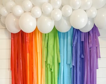 Classic Rainbow Fringe Backdrop, Streamer Backdrop, Bright Backdrop, Party Backdrop, Rainbow Party, Rainbow Backdrop, Rainbow Garland