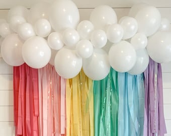 Pastel Rainbow Fringe Backdrop, Streamer Backdrop, Pastel Backdrop, Party Backdrop, Rainbow Party, Rainbow Backdrop, Rainbow Garland