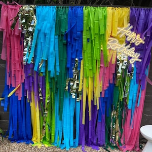 Custom Fringe Wall Backdrop, Fringe Backdrop One Piece, Streamer Backdrop, Bright Backdrop, Birthday Backdrop, Plastic Streamer Backdrop