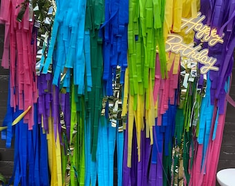Custom Fringe Wall Backdrop, Fringe Backdrop One Piece, Streamer Backdrop, Bright Backdrop, Birthday Backdrop, Plastic Streamer Backdrop