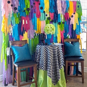 Custom Multi-Layered Fringe Wall Backdrop, Fringe Backdrop One Piece, Streamer Backdrop, Bright Backdrop, Birthday Backdrop, Backdrop