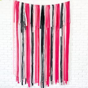Fringe Backdrop, Pink Doll, Streamer Backdrop, Bright Backdrop, Party Backdrop, Pink Black Party, Birthday Party, Baby Shower Backdrop