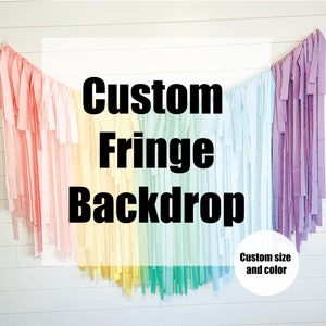 Custom Fringe Backdrop, Streamer Backdrop, Pastel Backdrop, Birthday Party Backdrop, Party Backdrop, Fringe Backdrop, Custom Colors
