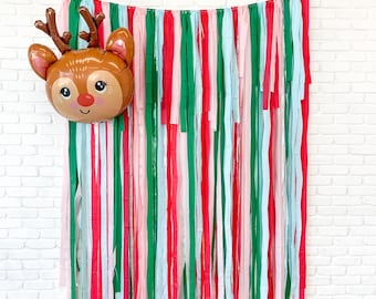Holiday Fringe Backdrop, Streamer Backdrop, Christmas Backdrop, Holiday Party Backdrop, Holiday Party, Christmas Party, Pink, Green and Red