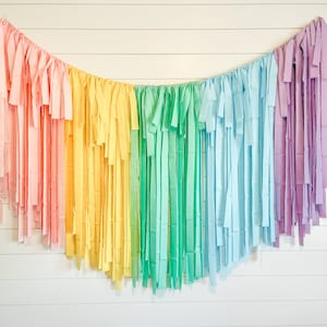 Fringe Backdrop, Streamer Backdrop, Pastel Backdrop, Birthday Party Backdrop, Unicorn Party, Pastel Rainbow, Rainbow Party, Rainbow Backdrop