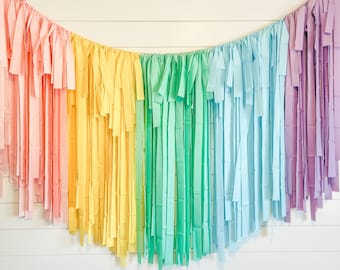 Fringe Backdrop, Streamer Backdrop, Pastel Backdrop, Birthday Party Backdrop, Unicorn Party, Pastel Rainbow, Rainbow Party, Rainbow Backdrop