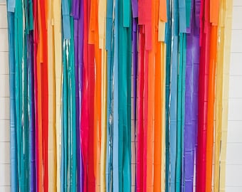 Fringe Backdrop, Streamer Backdrop, Bright Backdrop, Birthday Party Backdrop, Puppy Party, Bright Rainbow, Rainbow Party, Rainbow Backdrop