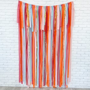 Bachelorette Fringe Backdrop, Streamer Backdrop, Bright Backdrop, Birthday Party Backdrop, Bridal Party,  Birthday Party, Pink Backdrop