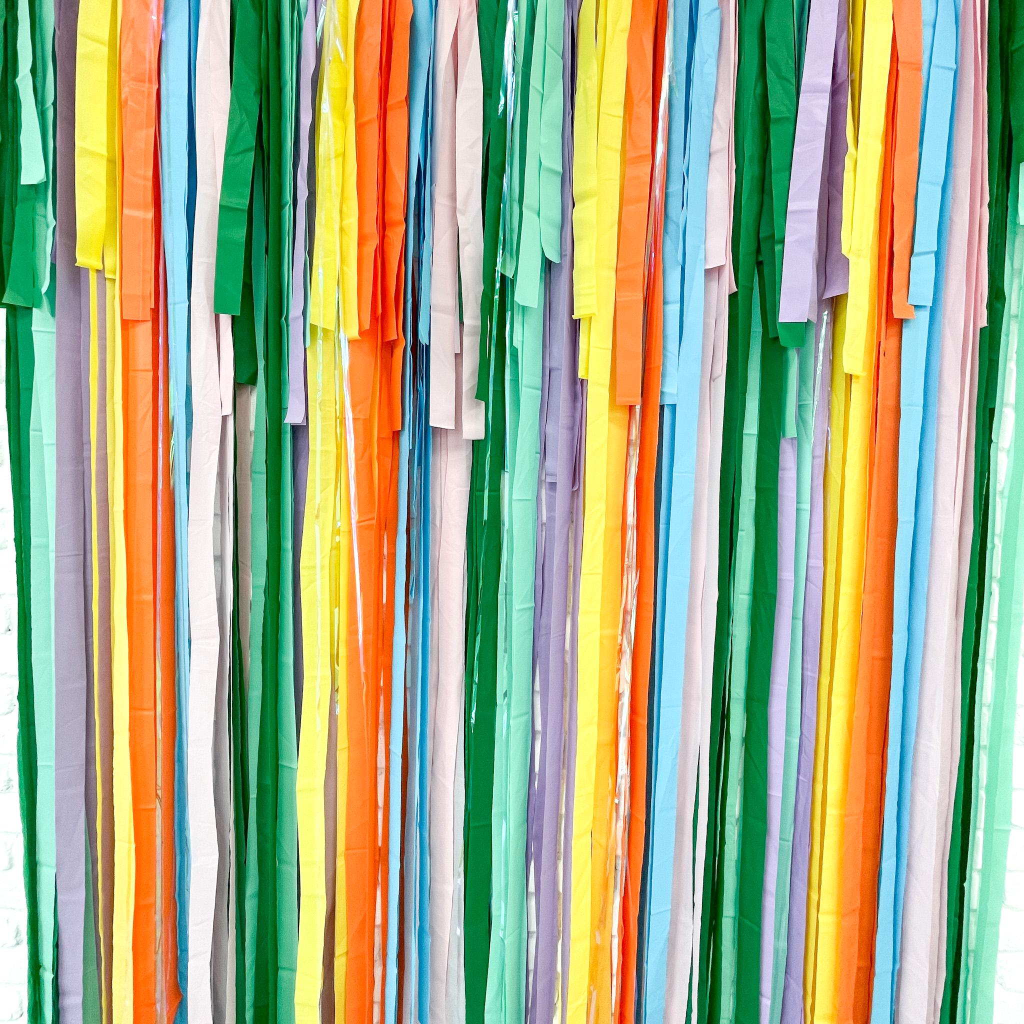 Spring Party Streamer Fringe Backdrop, Spring Party, Streamer Backdrop, Bright Backdrop ...