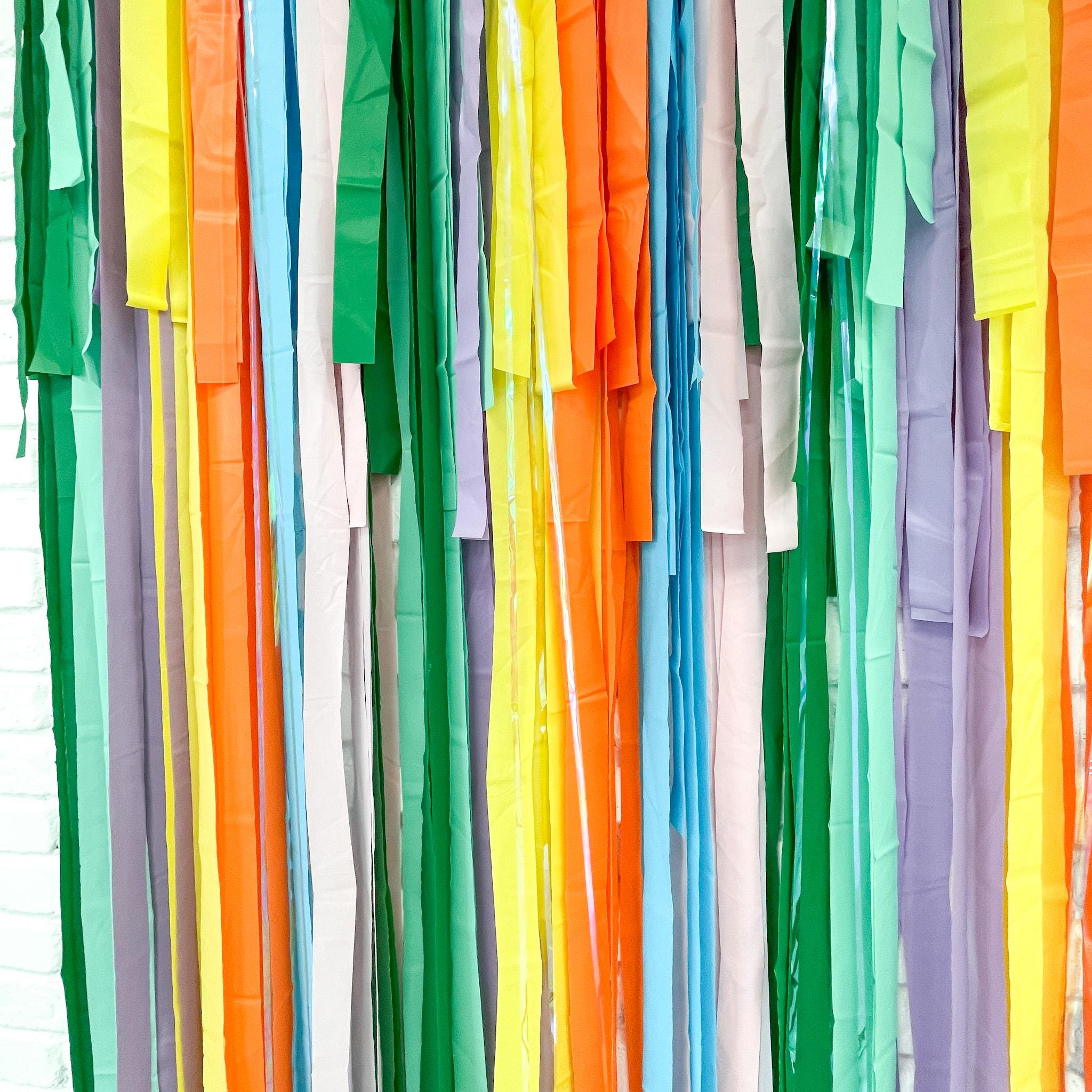 Spring Party Streamer Fringe Backdrop, Spring Party, Streamer Backdrop, Bright Backdrop ...