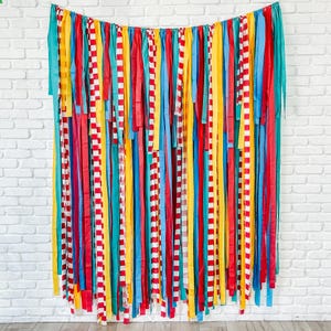 Circus Fringe Backdrop, Streamer Backdrop, Bright Backdrop, Birthday Party Backdrop, Circus Party,  Birthday Party, Kids Backdrop, Fringe