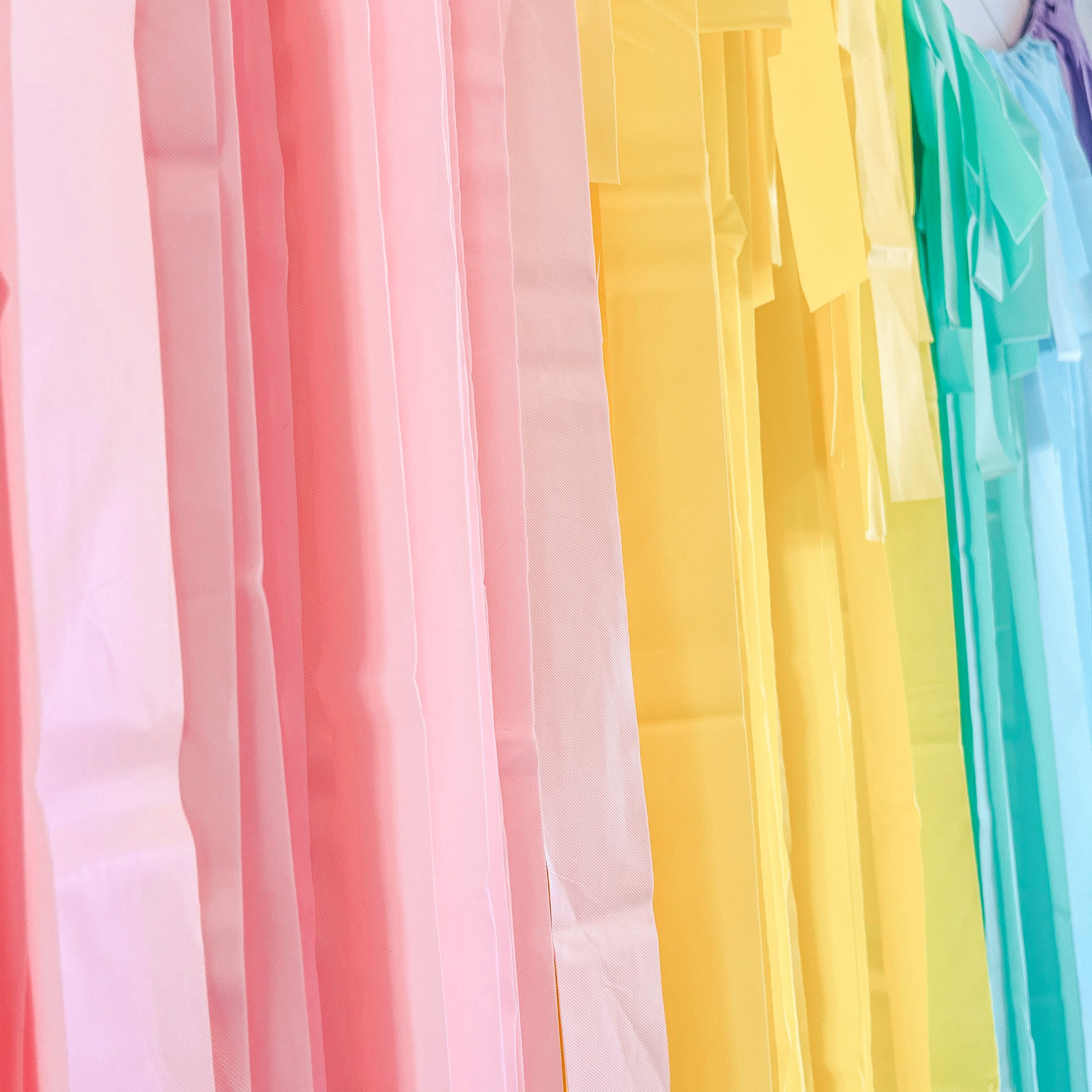 200pcs Pastel Streamers Backdrop Yellow Orange Blue Green Hot Pink  Streamers Party Decorations Rainbow Fringe Backdrop for Parties Birthday  Baby Shower Plastic Strips Streamers Decorations Background –  Homefurniturelife Online Store