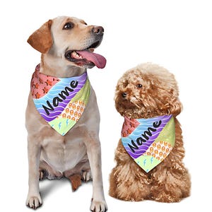 Peut inclure: Deux bandanas triangulaires pour animaux avec un motif géométrique multicolore composé d'étoiles orange, de vagues violettes, de cercles orange et d'éclairs vert clair. Le mot Name est imprimé en écriture noire au centre de chaque pièce.