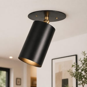 Adjustable Brass Ceiling Spotlight, Matte Black Cylinder Ceiling Light, Modern Directional Flush Mount Fixture