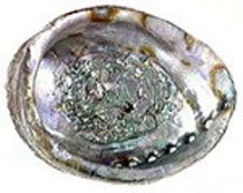 Abalone Smudge Bowl For Cleansing