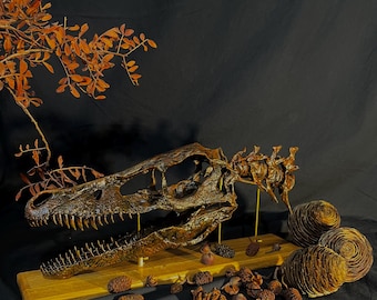 Velociraptor - Fossiel replica van een Velociraptor schedel – Dinosaurus fossiel sculptuur – Levensgroot – Handgemaakt – Sokkel van Europees eikenhout