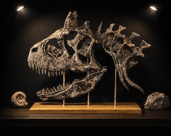 Schedel van Carnotaurus 1:2 - Replica van een Carnotaurus-schedel - Dinosaurusfossiel van museumkwaliteit - Handgemaakte schedel - Fossiel van een dinosaurus als cadeau