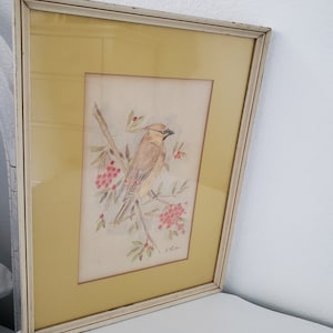 CLEARANCE-Vintage Colored Pencil Sketch Of Yellow Belly Finch/Cardinal/Kitsch/Cottage