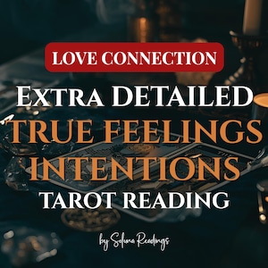 Love Reading | Feelings & Intentions | Relationship Tarot Reading