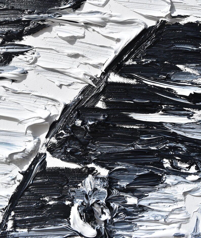 Puede incluir: Pintura al &oacute;leo abstracta con gruesas pinceladas en blanco y negro. La obra presenta una superficie texturizada con &aacute;reas contrastantes de luz y sombra, creando una composici&oacute;n din&aacute;mica. La pintura est&aacute; sobre un lienzo blanco.