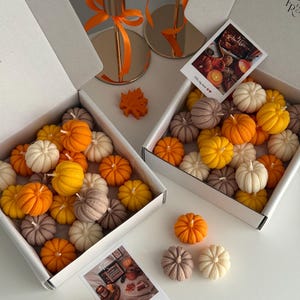 Set van 16 mini sojakaarsjes in pompoengeur • Herfstdecoratie voor thuis • Gezellig seizoenscadeau