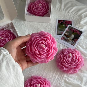 Op de afbeelding: Een collectie roze bloemvormige kaarsen met gedetailleerde bloemblaadjes en een centrale lont. Sommige kaarsen zitten in open witte kartonnen doosjes, terwijl andere worden getoond naast kleine rechthoekige foto's van bloemstukken.