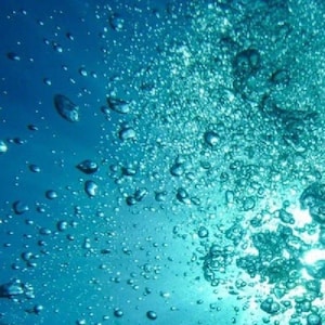 May include: A close-up of a blue background with many small, white bubbles rising to the surface. The bubbles are of various sizes and are scattered throughout the image.
