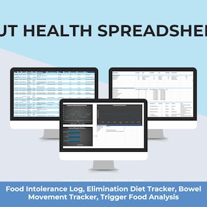Digestive Health Tracker, IBS-symptomendagboek, voedingslogboek (Excel-spreadsheet)