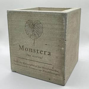Op de afbeelding: Een vierkante, lichtgrijze betonnen plantenbak met het woord "Monstera" en een bladerillustratie. De plantenbak heeft tekst in het Duits die de oorsprong en kenmerken van de plant beschrijft. Voor binnen of buiten.
