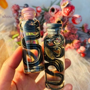 以下が含まれることがあります： ピンクとグレーのキャップが付いた2つの透明なガラス瓶。それぞれに保存されたヘビが入っています。ヘビは黒と白で、瓶の中で丸まっています。背景にはぼやけたピンクと赤の花があります。