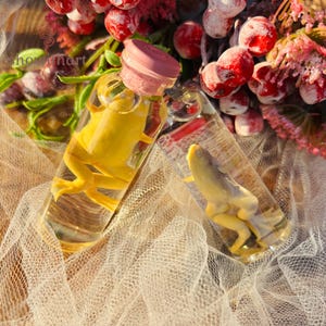 Peut inclure: Deux flacons en verre contenant chacun une grenouille jaune conservée dans un liquide. Un flacon a un bouchon rose. Les flacons reposent sur un tissu en résille blanche, avec des baies rouges et des fleurs roses en arrière-plan. Le thème est la nature et la conservation.