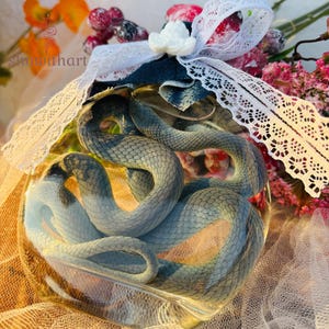 以下が含まれることがあります： 丸まった水色のヘビが入ったガラス瓶。瓶はデニム生地のトップス、白いレース、小さな白い花で飾られています。背景にはピンクの花とオレンジ色の葉があります。