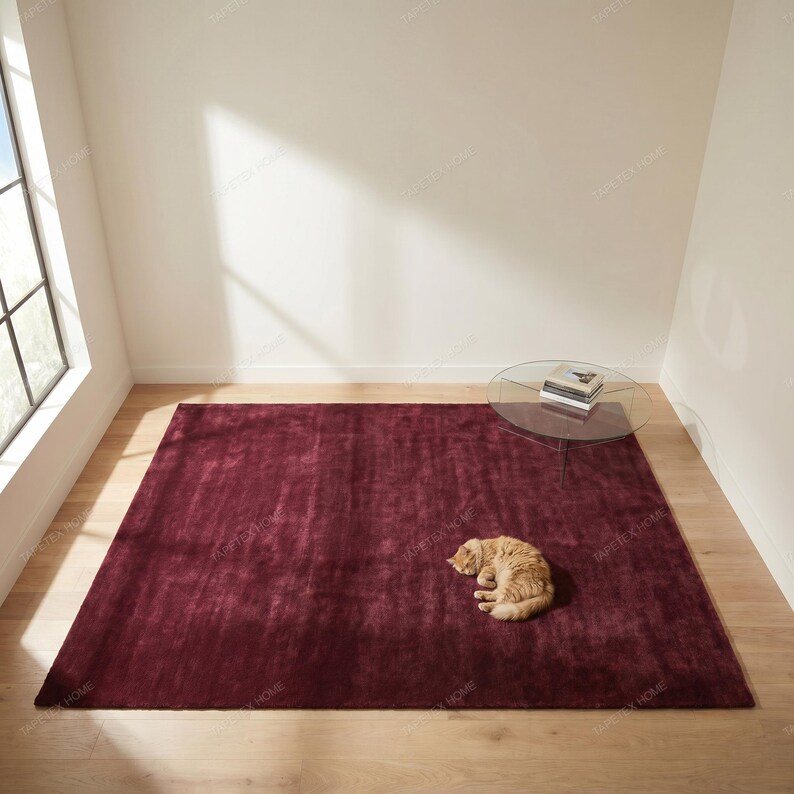 May include: A large, rectangular burgundy rug dominates the room, with a soft, textured appearance. A small, round glass table with books sits in the corner. A light orange cat is curled up on the rug.
