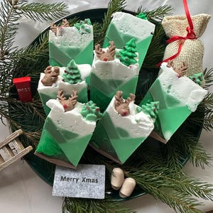 Christmas winter pine