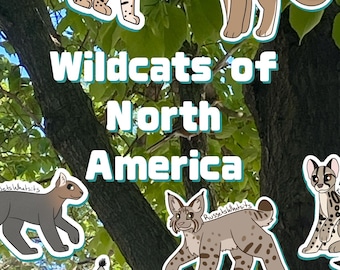 Sticker Pack Wildcats of North America – Ocelot, Jaguar, Bobcat, Lynx (individuals or pack)