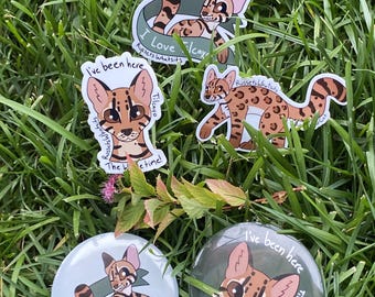 Tilcayo Tiger Cat Sticker and Button Pin Bundle Or Singles!! New Cat!!